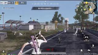 荒野行動PC版 ゆるゆるライブ配信