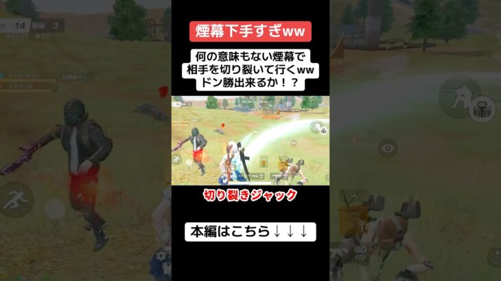 煙幕を利用してキルする予定が、全く煙幕が機能してない…笑 #ゲーム実況 #クリップ集 #荒野行動 #キルショット #荒野gogofes #かっこいいキル集