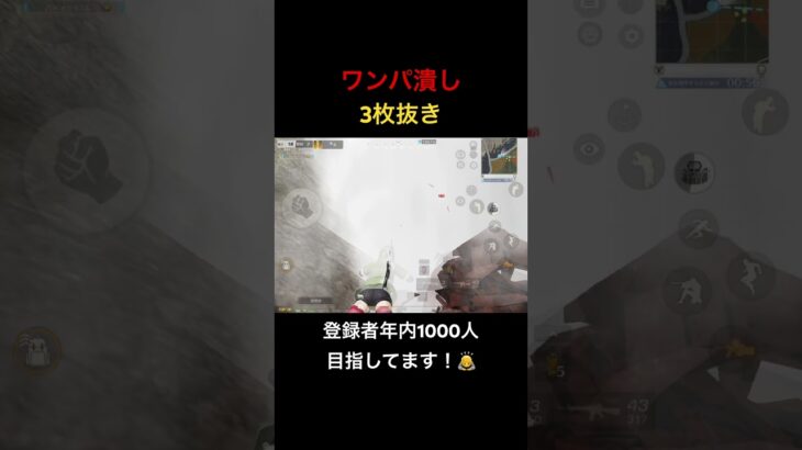 【荒野行動】通常マッチワンパ潰し！登録は義務（？）です！笑 #荒野行動 #キル集