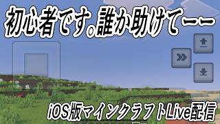 【マインクラフトios】　初心者なので教えてください 　 LIVE　Minecraft