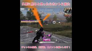 外側に居ると思ったらホントに居た #荒野行動 #shorts
