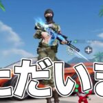 ただいま←いやお前誰やねん。【荒野行動】