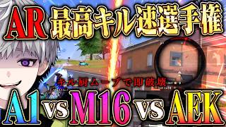 【怪物】最速でキルを取りに行く皇帝のARキル速が極まりすぎてフルパ破壊が作業な件【#荒野行動】