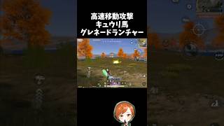キュウリ馬で高速移動グレネードランチャーww【#荒野行動】# Knives Out #荒野アプデ #荒野8周年半で最大100連無料 #荒野夏祭り