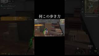 【荒野行動】 この歩き方何…‼️ #荒野行動 #初見歓迎 #shorts