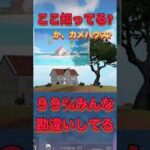 【荒野行動】 ９９％の人が行った事ないカメハウスに行ったら・・・ #荒野行動  #ドラゴンボール #shorts #TikTok #Twitter #バズれ #おすすめ #急上昇 #裏技 #ゲーム