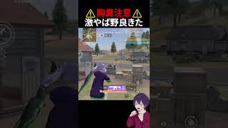 【害悪】味方野良がやばすぎるんだけど．．．【荒野行動】【れんぴき】
