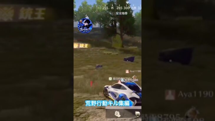 荒野行動キル集編