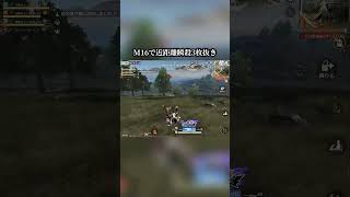 【荒野行動】M16ゲーですね #荒野行動