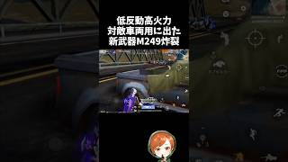 新武器M249で敵車両を燃やし尽くすｗｗ【#荒野行動】# Knives Out  #荒野アプデ  #荒野夏祭り  #嵐の半島 #荒野聖杯戦争