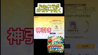 #荒野聖杯戦争 SPガチャ100連以上引いてみた｜#荒野FateHFコラボ #荒野の光 #荒野行動  #実写