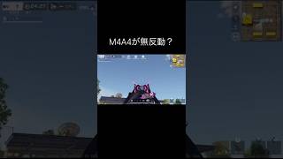 Switch勢の本気の指切り？！（part2）　#荒野行動 #switch勢 #ネタ #shorts