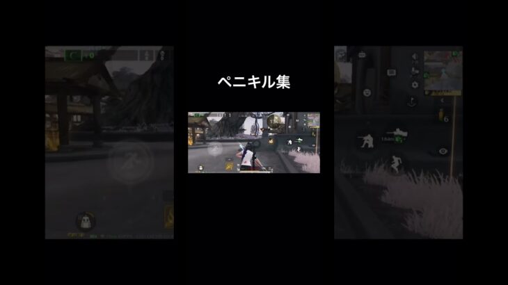 荒野行動#ペニンシュラキル集